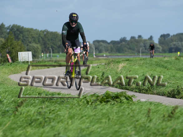 D2956.jpg